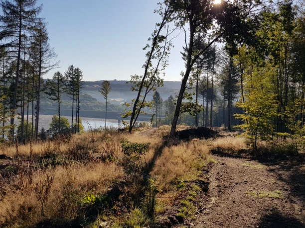 Kalorienpfad Herbst 22.jpg