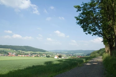 Eggetal in Börninghausen Eine weite, grüne Landschaft im Eggetal mit einem Kiesweg und vereinzelten Häusern unter blauem Himmel.