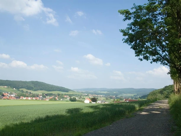 Eggetal in Börninghausen Eine weite, grüne Landschaft im Eggetal mit einem Kiesweg und vereinzelten Häusern unter blauem Himmel.