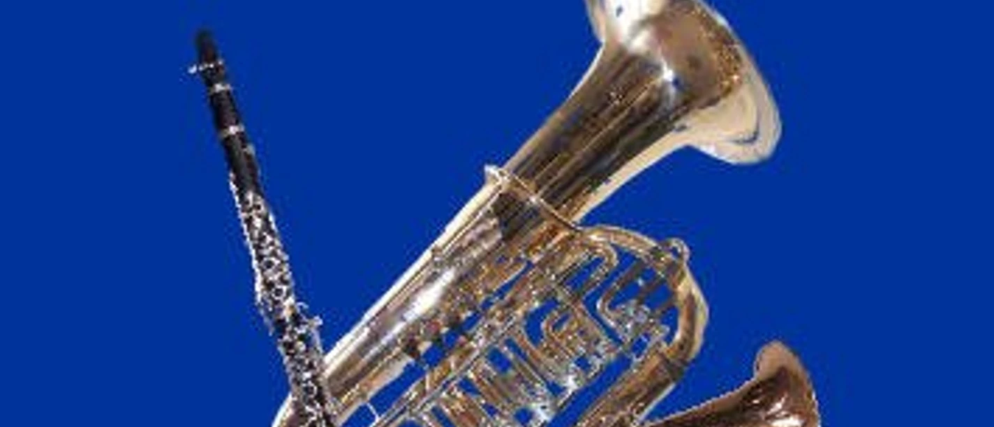 Musikzug Eltmannshausen
