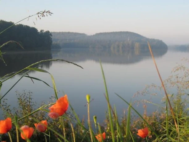 Schiedersee von der Staumauer Blick über den ruhigen Schiedersee von der Staumauer, umgeben von grünen Hügeln und Mohnblumen.