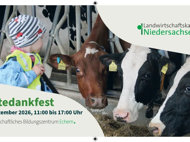 Erntedankfest Echem_Postkarte