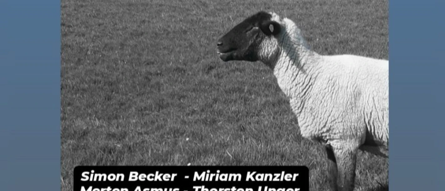 Plakat der 1. Krummhörner Kunsttage mit Terminen und Schaf auf einer Wiese.