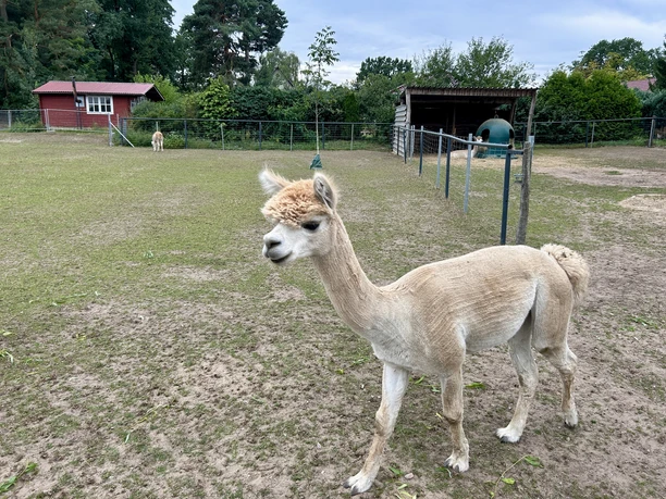 Hof Dobrasee