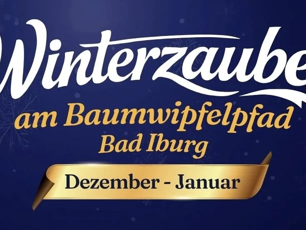 Winterzauber-am-Baumwipfelpfad-Bad-Iburg.jpg