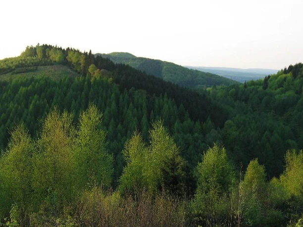 Hunekenkammer Grüne bewaldete Hügel unter einem klaren Himmel in Oberösterreich, dichte Vegetation im Vordergrund.