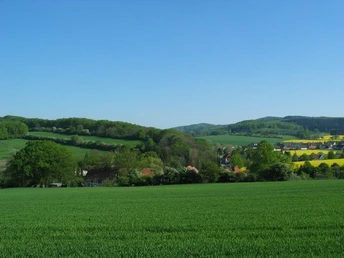 Währentrup Iberg und Huneckenkammer Grüne Wiesen mit Blick auf sanfte Hügel und ein kleines Dorf in der Ferne unter klarem Himmel.