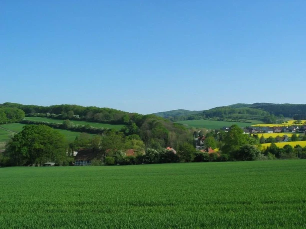 Währentrup Iberg und Huneckenkammer Grüne Wiesen mit Blick auf sanfte Hügel und ein kleines Dorf in der Ferne unter klarem Himmel.