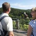 Adlerwarte Berlebeck Ein Paar beobachtet einen Weißkopfseeadler, der auf einem Geländer vor einem waldbedeckten Hügel sitzt.
