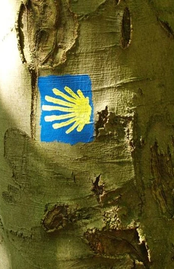 Logo des Jakobsweges Blaues Symbol mit gelber Muschel auf Baumstamm, markiert Jakobsweg im grünen Wald.