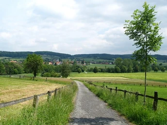 Blick auf Alhausen Ländlicher Weg führt durch grüne Wiesen auf ein Dorf in hügeliger Landschaft mit bewölktem Himmel zu.