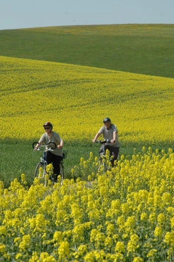 Zwei Radfahrer genießen eine frühlingshafte Radtour durch ein leuchtendes Rapsfeld in hügeliger Landschaft.