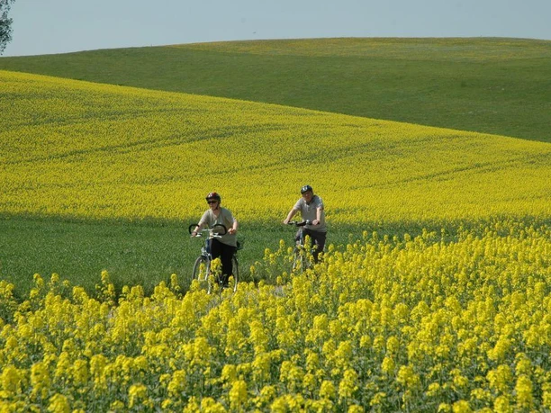 Zwei Radfahrer genießen eine frühlingshafte Radtour durch ein leuchtendes Rapsfeld in hügeliger Landschaft.