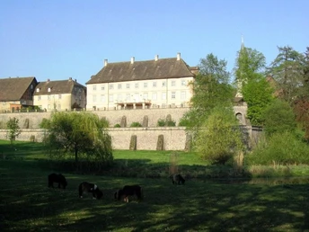 Schloss mit großem Garten, grasenden Tieren und Kirchturm im Hintergrund an einem sonnigen Tag.