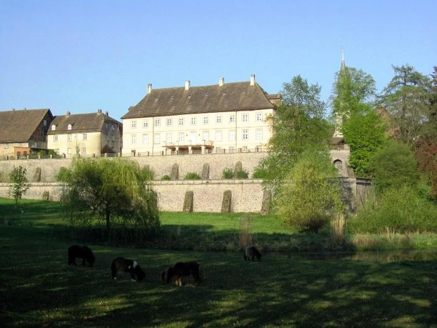 Schloss mit großem Garten, grasenden Tieren und Kirchturm im Hintergrund an einem sonnigen Tag.