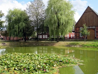 Teich mit Seerosen und großen Weidenbäumen im Vordergrund, hinten ein rotbraunes Fachwerkhaus.