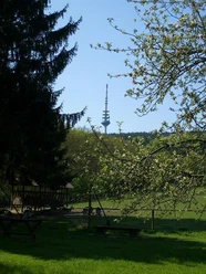 Wildgehege Willebadessen Natur pur im Wildgehege Willebadessen: Blühende Bäume, saftig grüne Wiesen und ein Fernmeldeturm.
