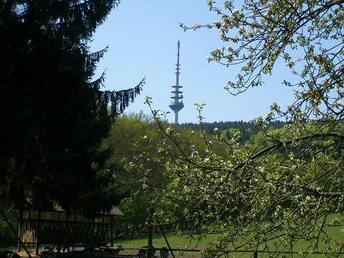 Wildgehege Willebadessen Natur pur im Wildgehege Willebadessen: Blühende Bäume, saftig grüne Wiesen und ein Fernmeldeturm.