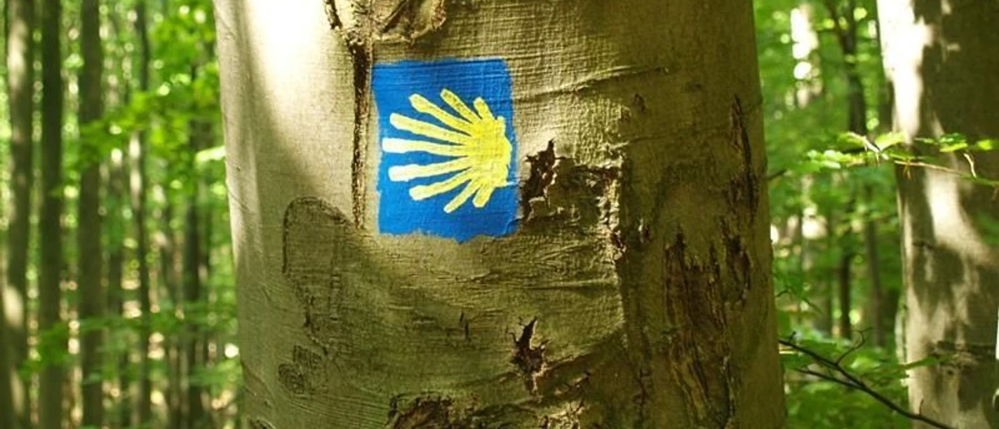 Wegzeichen Jakobsweg Blaues Jakobsweg-Symbol mit einer gelben Muschel auf einem Baumstamm im grünen Wald.