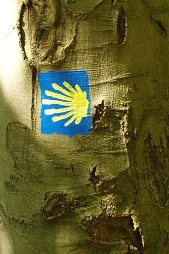 Wegzeichen Jakobsweg Blaues Jakobsweg-Symbol mit einer gelben Muschel auf einem Baumstamm im grünen Wald.