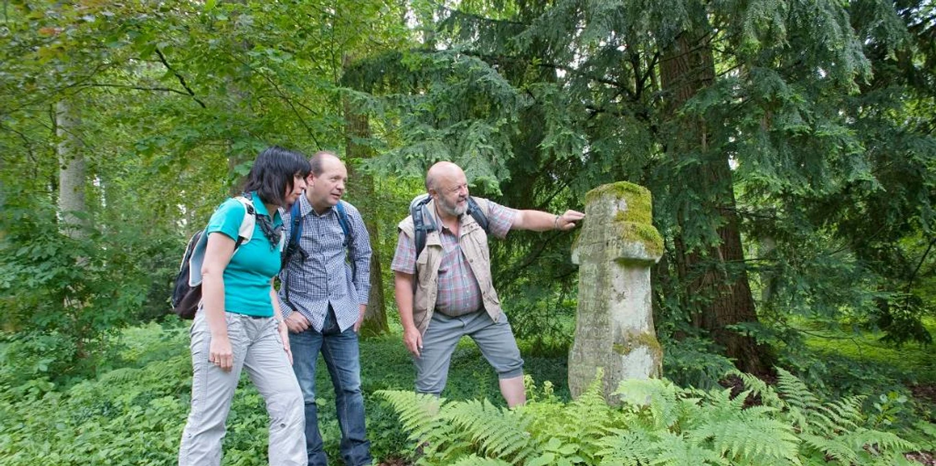 Drei Menschen stehen im Wald neben einer alten Grabstele, umgeben von Farnen und Bäumen.