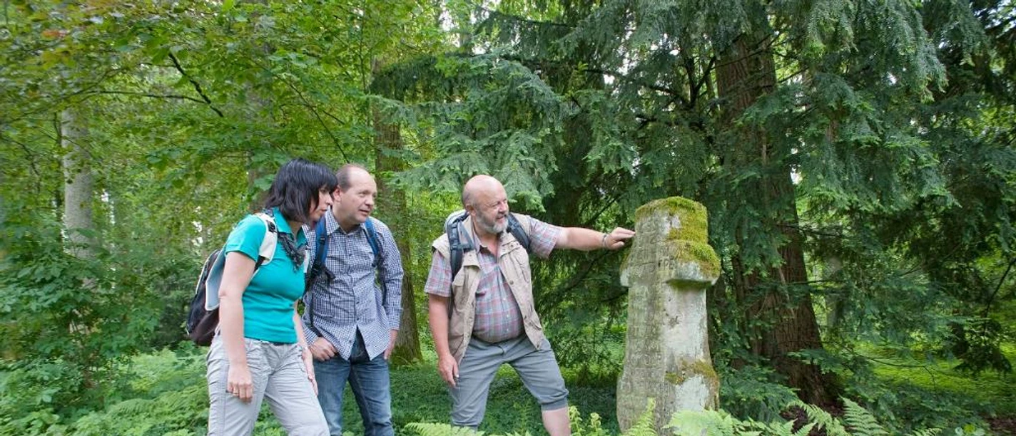Pestfriedhof Leiberg Drei Menschen stehen im Wald neben einer alten Grabstele, umgeben von Farnen und Bäumen.