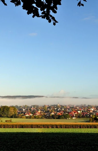 Blick auf Hilter Blick auf die Gemeinde Hilter mit Umrissen im Morgennebel, umgeben von Feldern und Bäumen im Vordergrund.