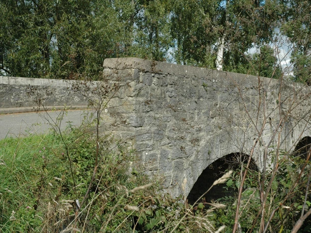 Brücke Steinbrücke mit zwei Bögen, umgeben von grünem Wiesenrand und hohen Bäumen im Hintergrund.
