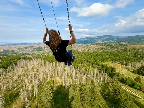High Swing Resin Tower, Torfhaus