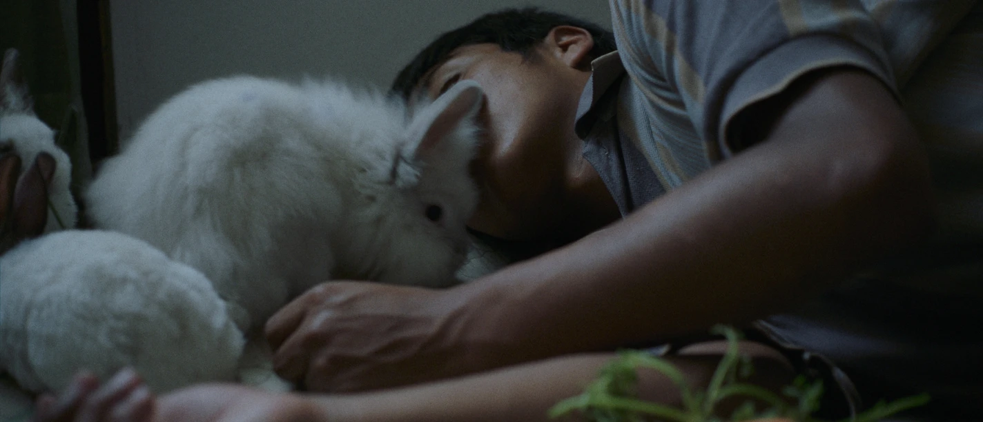 The-Ivy_Bendita_Film_Sales_03.jpg