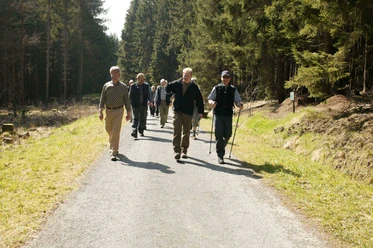 Eine Gruppe älterer Männer wandert fröhlich auf einem Waldweg, umgeben von hohen Bäumen.