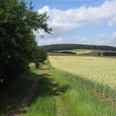 Wanderweg Limberg 2 Breiter Feldweg mit Wiesen und Getreidefeldern, umgeben von sanften Hügeln und bewölktem Himmel.