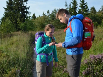 Orientierung auf dem Weg zur Lippischen Velmerstot Zwei Wanderer überprüfen die Route auf einem schmalen Pfad durch eine hügelige und bewaldete Landschaft.