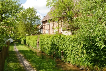 Mühlengraben in Bellersen Fachwerkhaus am Mühlengraben Bellersen, flankiert von Hecken und einem grasbewachsenen Pfad.