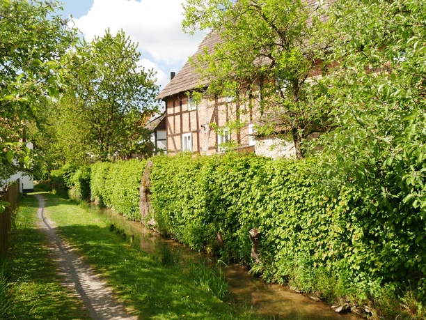 Mühlengraben in Bellersen Fachwerkhaus am Mühlengraben Bellersen, flankiert von Hecken und einem grasbewachsenen Pfad.