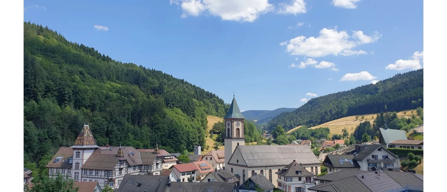 Blick auf Bad Peterstal