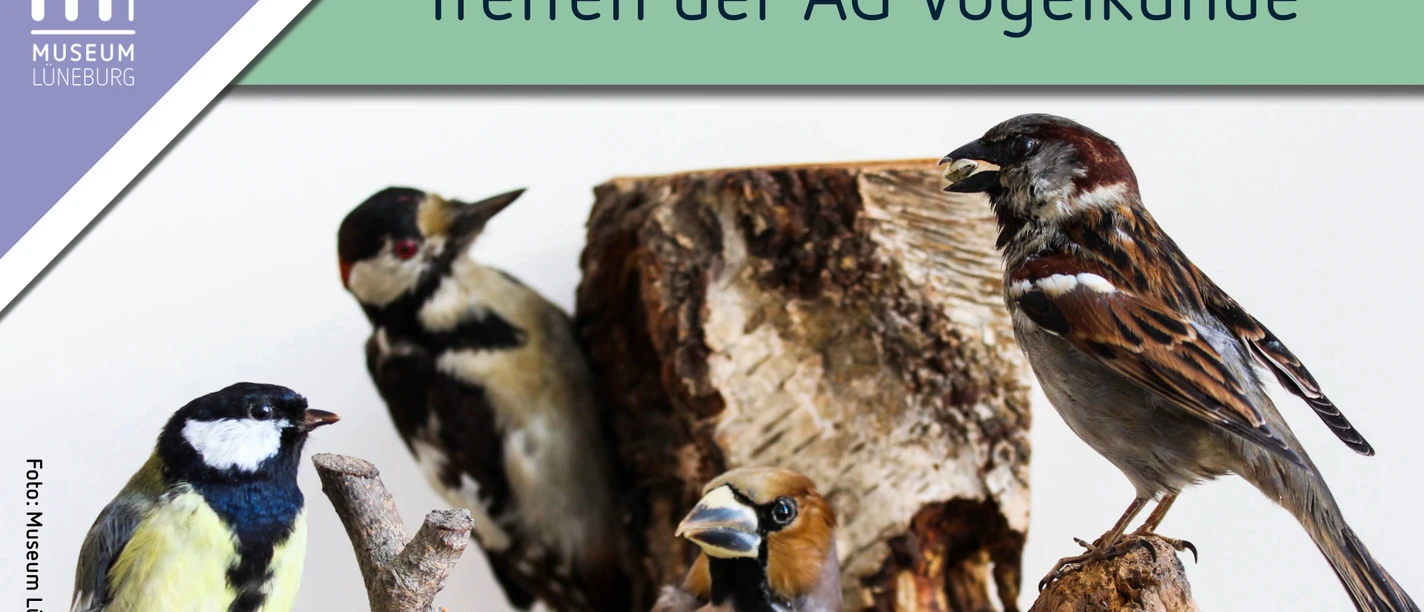 Treffen der AG Vogelkunde im Museum Lüneburg Treffen der AG Vogelkunde im Museum Lüneburg