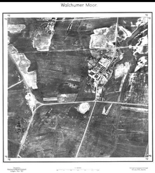Foto 5.jpg