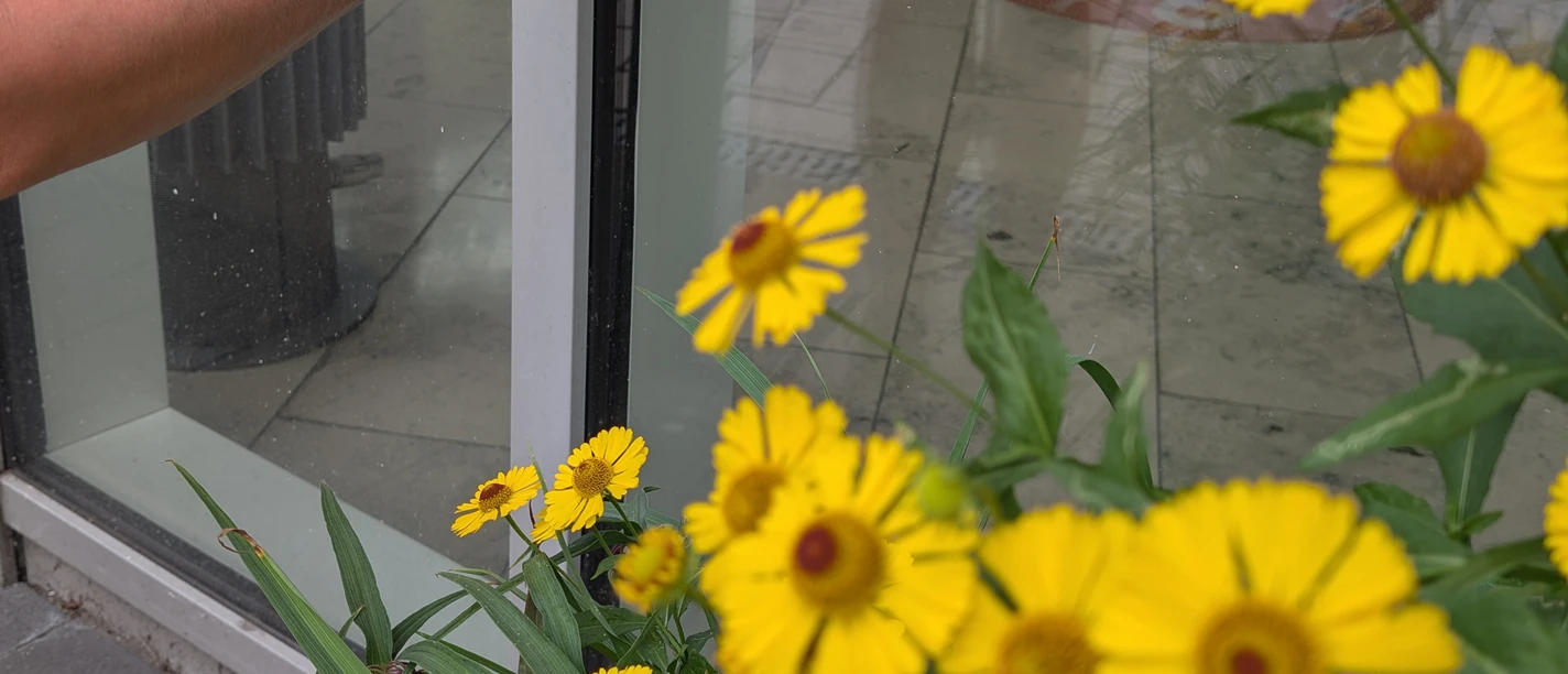 Eine Person scannt mit einem Smartphone den QR-Code einer Station der SDG-Stadtrallye.