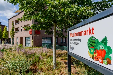 Infotafel zum Wochenmarkt in Steinhagen mit Obst- und Gemüsemotiven vor einem Backsteingebäude.
