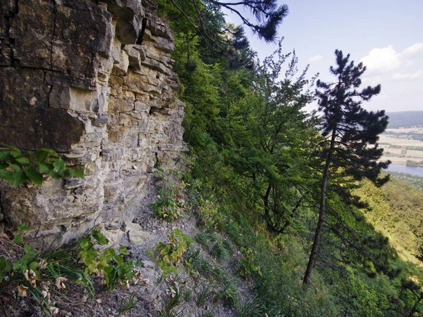 Felszinnen erheben sich steil über dem dichten, grünen Wald bei Höxter, mit Fernblick auf das Tal.
