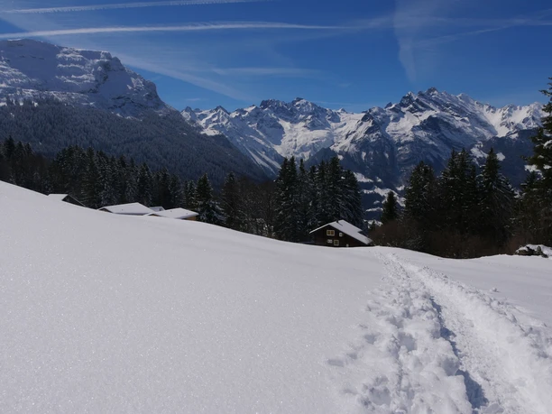 Unterwegs auf dem Schneeschuhtrail Haldi Unterwegs auf dem Schneeschuhtrail Haldi