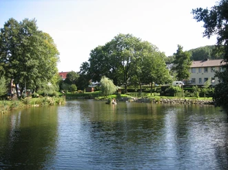Rethlager Mühlenteich Bewachsener Teich mit ruhigem Wasser, umgeben von Bäumen und Gebäuden im Hintergrund, unter blauem Himmel.