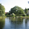 Rethlager Mühlenteich Bewachsener Teich mit ruhigem Wasser, umgeben von Bäumen und Gebäuden im Hintergrund, unter blauem Himmel.