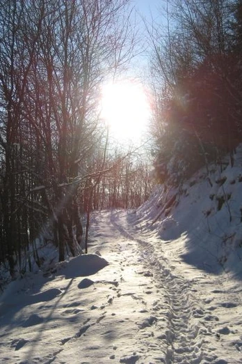 Am Winterberg - auch mit Schnee ein Erlebnis Verschneiter Waldpfad am Winterberg; Sonnenlicht glitzert zwischen schneebedeckten Zweigen und Bäumen.