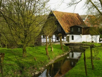 Wassermühle im Engerschen Ortsteil Belke-Steinbeck Historische Wassermühle mit Fachwerk und rotem Ziegeldach, umgeben von Bäumen und Bachlauf.