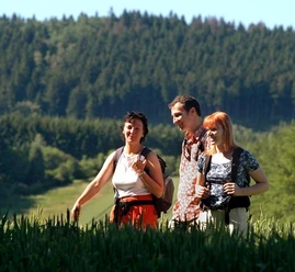 Den Teutoburger Wald im Blick: Wandern im Münsterland Drei fröhliche Wanderer erkunden eine üppig grüne Landschaft, umgeben von dichtem Wald.
