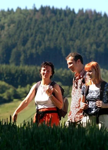 Den Teutoburger Wald im Blick: Wandern im Münsterland Drei fröhliche Wanderer erkunden eine üppig grüne Landschaft, umgeben von dichtem Wald.