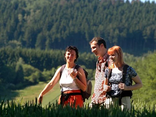 Den Teutoburger Wald im Blick: Wandern im Münsterland Drei fröhliche Wanderer erkunden eine üppig grüne Landschaft, umgeben von dichtem Wald.