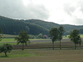 Blick auf den Hömerberg Grüne Felder, ein Bauernhof und umgebende Wälder vor sanften Hügeln unter bewölktem Himmel.